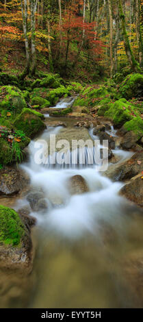 Wasserfall im Tal Twannbachschlucht, Schweiz Stockfoto