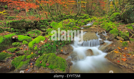 Wasserfall im Tal Twannbachschlucht, Schweiz Stockfoto