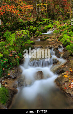 Wasserfall im Tal Twannbachschlucht, Schweiz Stockfoto