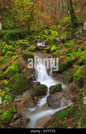 Wasserfall im Tal Twannbachschlucht, Schweiz Stockfoto