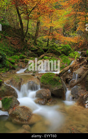 Wasserfall im Tal Twannbachschlucht, Schweiz Stockfoto