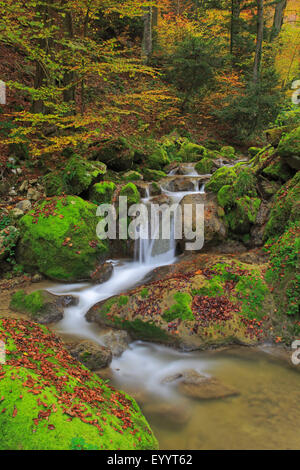 Wasserfall im Tal Twannbachschlucht, Schweiz Stockfoto