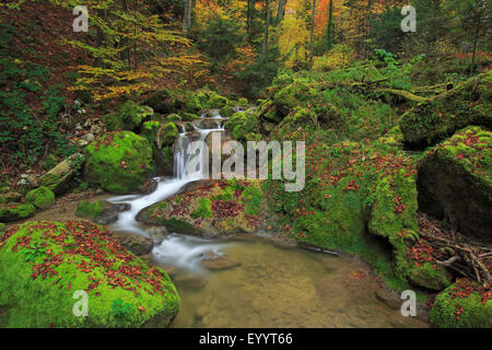 Wasserfall im Tal Twannbachschlucht, Schweiz Stockfoto