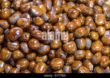 Chinesische Kastanie (Castanea Mollissima), chinesische Kastanien auf einem Markt in der Nähe von Lampang, Thailand Stockfoto