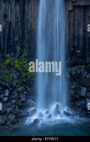 Svartifoss Wasserfall, schwarz Herbst, Island, Austurland, Skaftafell Stockfoto