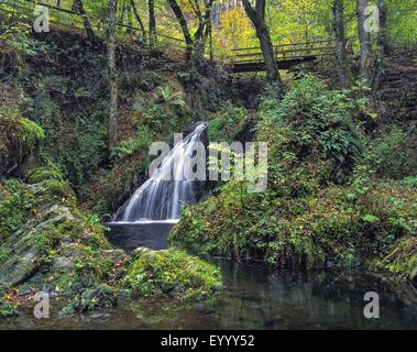 kleiner Wasserfall an der vulkanischen Eifel, Deutschland, Rheinland-Pfalz Stockfoto