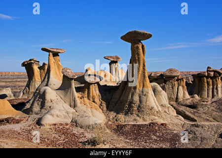 Sandstein Hoodoos von Ah-Shi-Sle-Pah Wilderness Study Area, Ah-Shi-Sle-Pah Wilderness Study Area, New Mexico, USA Stockfoto