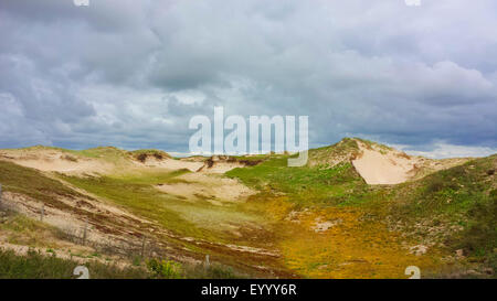 dunkle Gewitterwolken über die Dünen der Nordseeküste, Niederlande, Südholland, Nordwijk Stockfoto