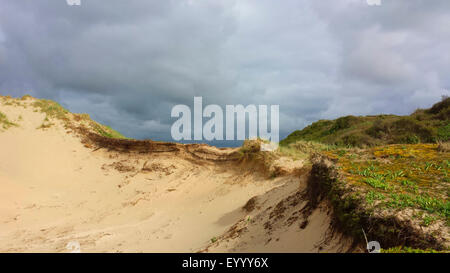 dunkle Gewitterwolken über die Dünen der Nordseeküste, Niederlande, Südholland, Nordwijk Stockfoto