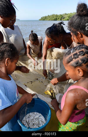 Afrikanische Frauen sind mit einem Vorhang, Madagaskar, Nosy Be, Lokobe Reserva Angeln. Stockfoto