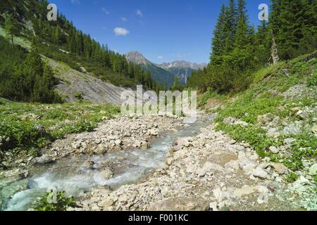 Blick vom Bschlabser Höhenweg zum Creek, nahe Hahntennjoch, Bergblick, Lichtspitze, Österreich, Tirol, Lechtaler Alpen Stockfoto