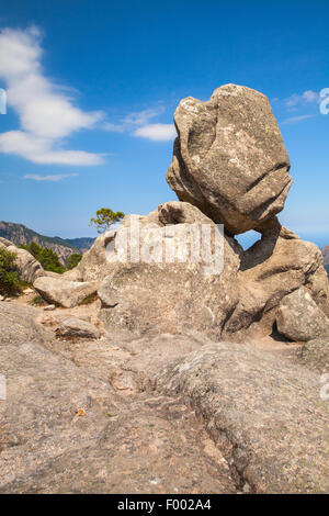 Großen Runde Stein liegt oben auf einem Berg, Insel Korsika, Ospedale region Stockfoto