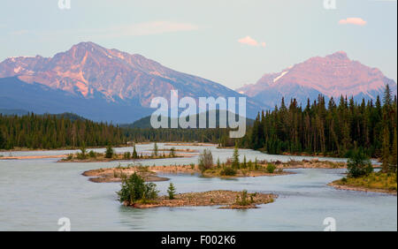 Athabasca River nach Sonnenuntergang, Kanada, Jasper Nationalpark Stockfoto