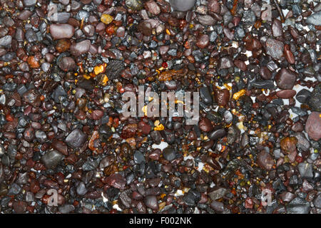 Rhein Kiese mit gold-Glitter, Schweiz, Stockfoto