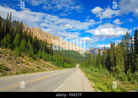 Icefields Parkway in der Nähe von Bow Pass, Highway durch Banff Nationalpark, Banff Nationalpark, Alberta, Kanada Stockfoto