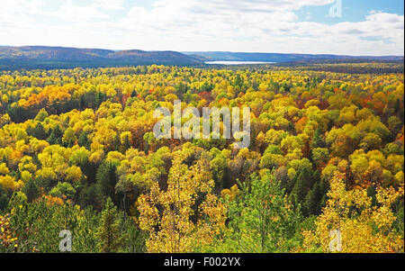 Indian Summer im Algonquin Provincial Park, Kanada, Ontario, Algonquin Provincial Park Stockfoto