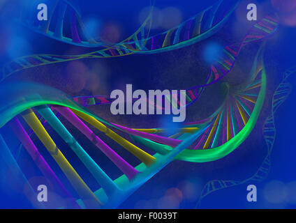 Struktur der DNA-Doppelhelix Stockfoto