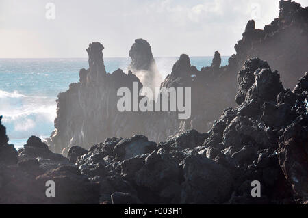Surfen Sie an der vulkanischen z.B. Küste, Kanarische Inseln, La Palma Stockfoto