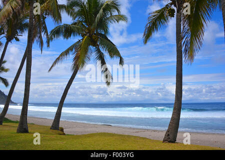 Palm Beach, Reunion Stockfoto