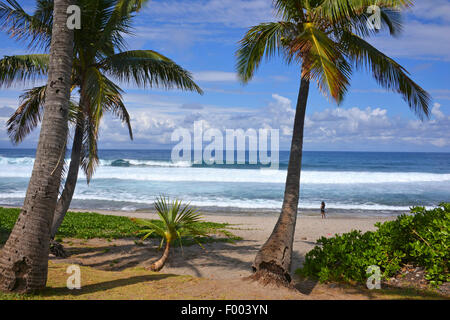 Palm Beach, Reunion Stockfoto