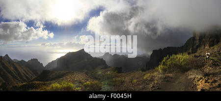 Macizo de Teno, Teno-Massivs, Kanaren, Teneriffa, Santiago de Teide Stockfoto