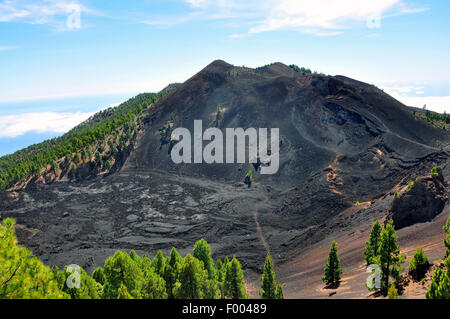 San Antonio Volcano, Kanarische Inseln, La Palma Fuencaliente Stockfoto