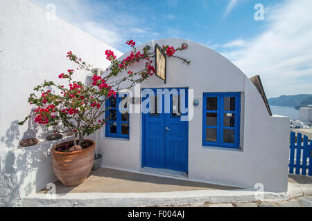 Papierfabrik, Four-o'clock (Bougainvillea spec.), kleine weiße Haus mit blauen Fenstern und Tür, Topf mit einem Four-o'clock Griechenland, Cyclades, Santorin Stockfoto