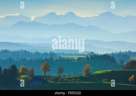 Emmental, Eiger, Mönch, Jungfrau, Schweiz, Berner Mittelland anzeigen Stockfoto