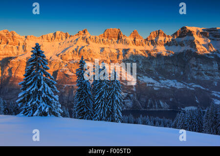 Churfirsten, Schweiz, St. Gallen Stockfoto