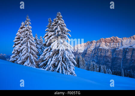 Leistchamm, Schweiz, St. Gallen Stockfoto