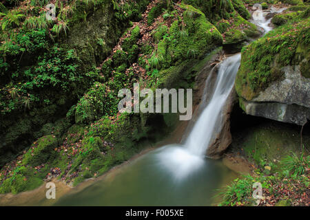 Twannbachschlucht Gebirgsbach in Twannbachschlucht Schlucht, Schweiz Stockfoto