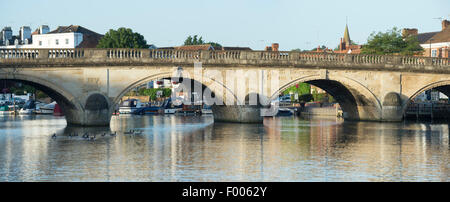 Henley Brücke, Henley on Thames in der frühen Morgensonne. Oxfordshire, England. Panorama Stockfoto