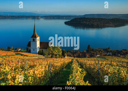 Ligerz am Bielersee, Schweiz, Drei-gesehen-Land Stockfoto