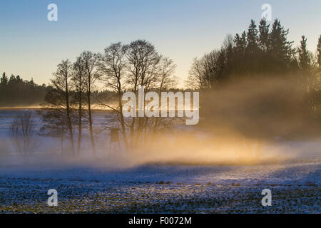 Bodennebel über verschneite Landschaft in Morgen Sonne, Deutschland, Bayern Stockfoto