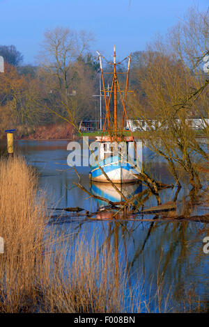 stillgelegt, stillgelegten Fischkutter an einem Fluss bei Hochwasser, Deutschland, Bremen Stockfoto