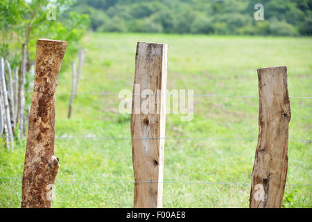 Nahaufnahme von einem ländlichen Stacheldrahtzaun mit Holzpfosten Stockfoto