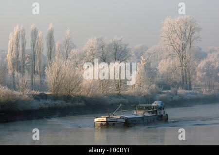 Frachtschiff auf der Schelde mit Schnee bedeckt, Bäume, Belgien Stockfoto