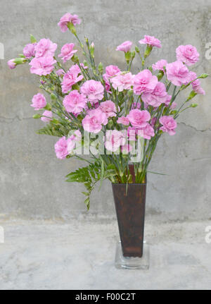 Wunderschönen Blumenstrauß in einer Vase mit einer grauen Wand Hintergrund rosa Nelken Stockfoto