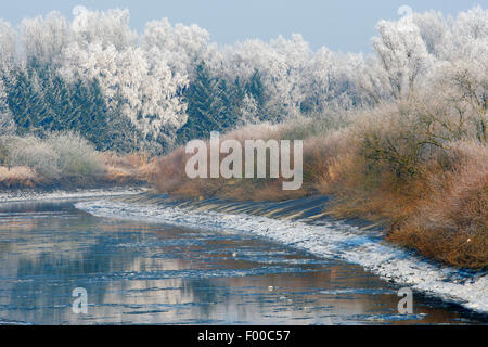 schneebedeckte Bäume Fluss Schelde, Belgien Stockfoto