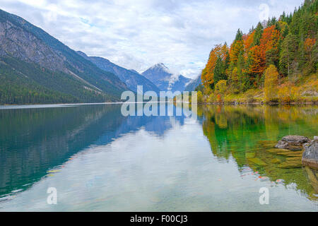herbstliche Berg Landschaft spiegeln in See Plansee, Österreich, Tirol Stockfoto