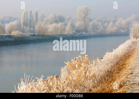 Gezeiten-Fluss Schelde mit Reflexion von Schnee bedeckt, Bäumen und Schilf Fransen entlang Fluss Schelde, Belgien Stockfoto