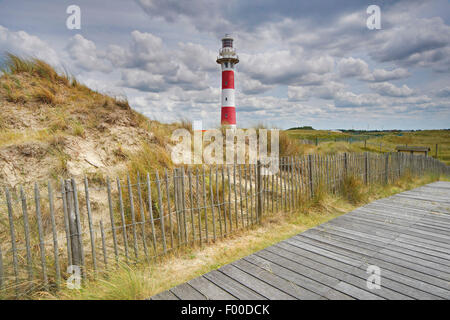 Promenade / erhöht Holzsteg in den Dünen, Belgien Stockfoto