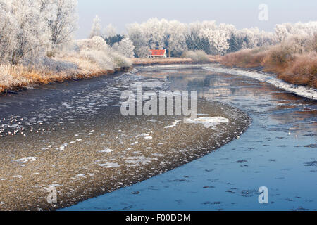 Gezeiten-Fluss Durme mit Reflexion der Schnee bedeckt, Bäumen und Schilf Fringe, Belgien Stockfoto