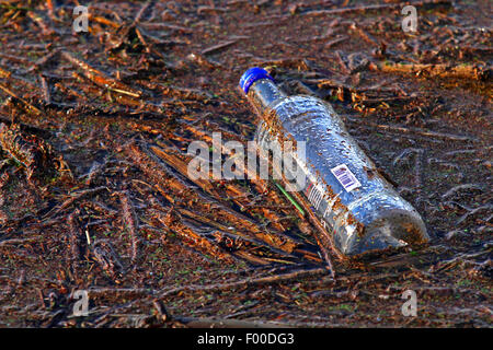 leere Glasflasche und Treibgut in Gewässer, Deutschland Stockfoto