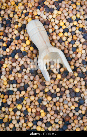 schwarzer Pfeffer (Piper Nigrum), gemischte Pfefferkörner mit Holz Kugel Stockfoto