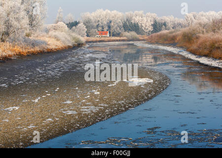 Reflexion von Schnee bedeckt Bäume entlang Fluss Schelde, Belgien Stockfoto