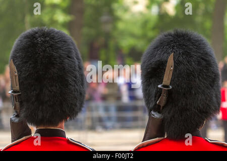 Zeremonielle Bärenfelle der Grenadier Guards in der Mall at Trooping the Color oder die Queen's Birthday Parade in der Mall, London, Großbritannien Stockfoto