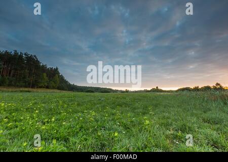 Schönen Sonnenaufgang über dem nebligen Wiese. Bewölkter Himmel mit vielen Farben über morgen Wiese im Sommer. Stockfoto