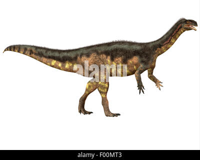 Plateosaurus war ein prosauropod pflanzenfressender Dinosaurier, der in der Trias Alter Europa gelebt. Stockfoto