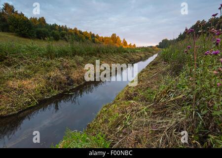 Schönen Sonnenaufgang über dem nebligen Wiese. Bewölkter Himmel mit vielen Farben über morgen Wiese im Sommer. Stockfoto